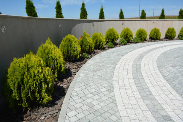 Best Affordable Driveway Pavers  in Plains, MT