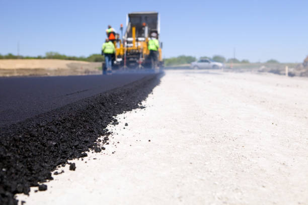 Best Local Driveway Pavers  in Plains, MT